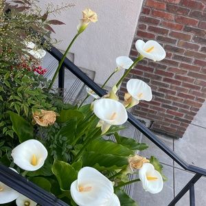 Open for offers/bundles